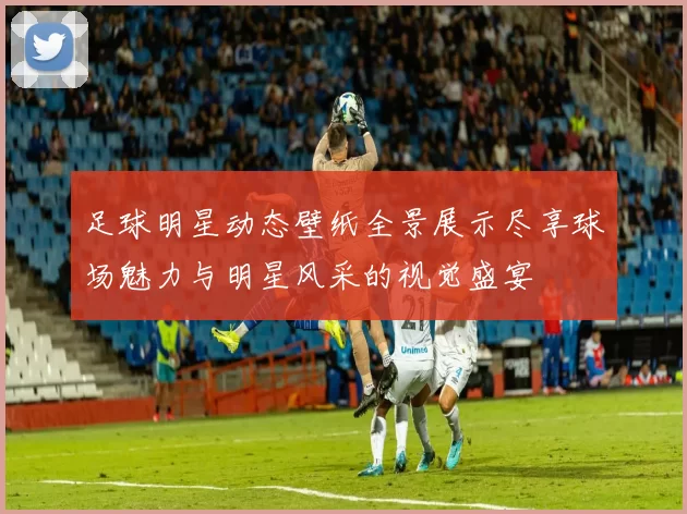 足球明星动态壁纸全景展示尽享球场魅力与明星风采的视觉盛宴