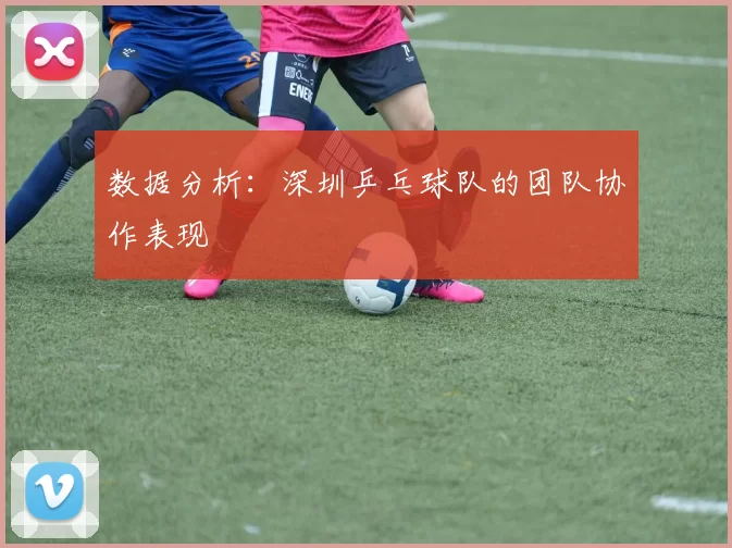 数据分析：深圳乒乓球队的团队协作表现