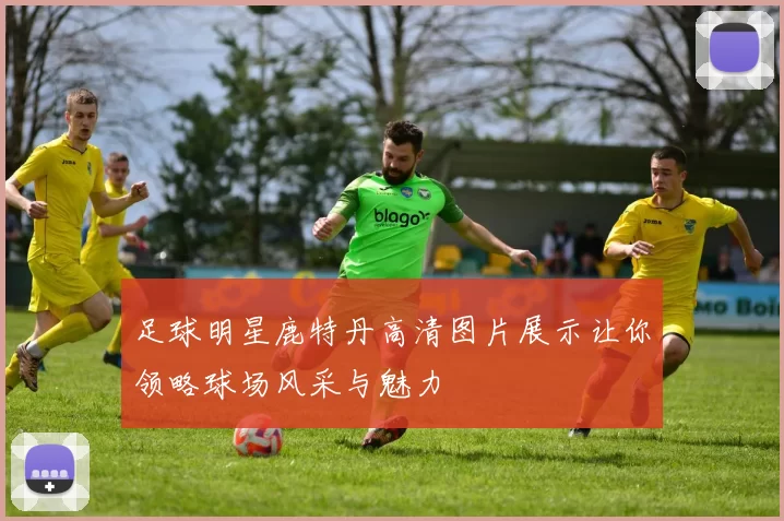 足球明星鹿特丹高清图片展示让你领略球场风采与魅力