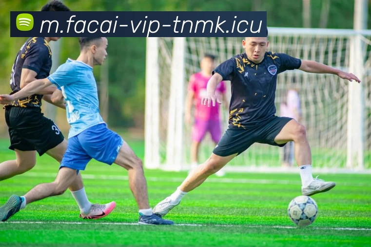 爱游戏体育品牌故事